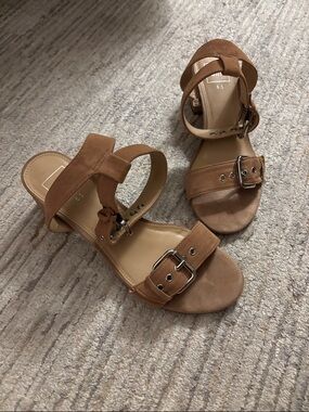 GAP Women Tan Suede Buckle Strap Heeled Sandals